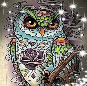 Meet your Posher, Sandy